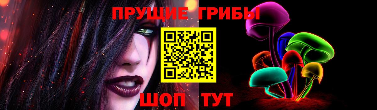 Псилоцибиновые грибы прущие грибы  Вход с VPN  Сочи 